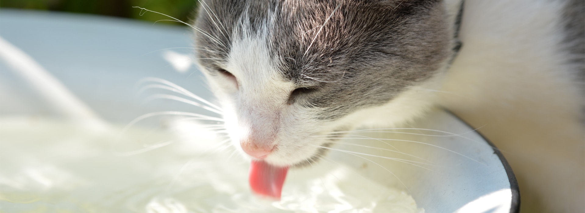 liquide-ou-solide-leau-cest-la-sante-assuree.jpg