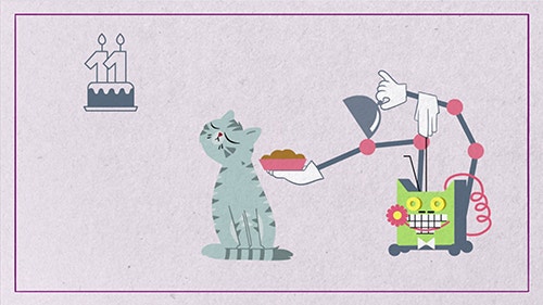 What should I feed a very senior cat?