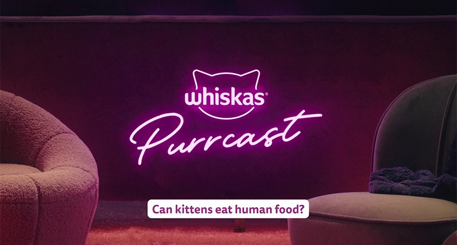 Can cat eat human food