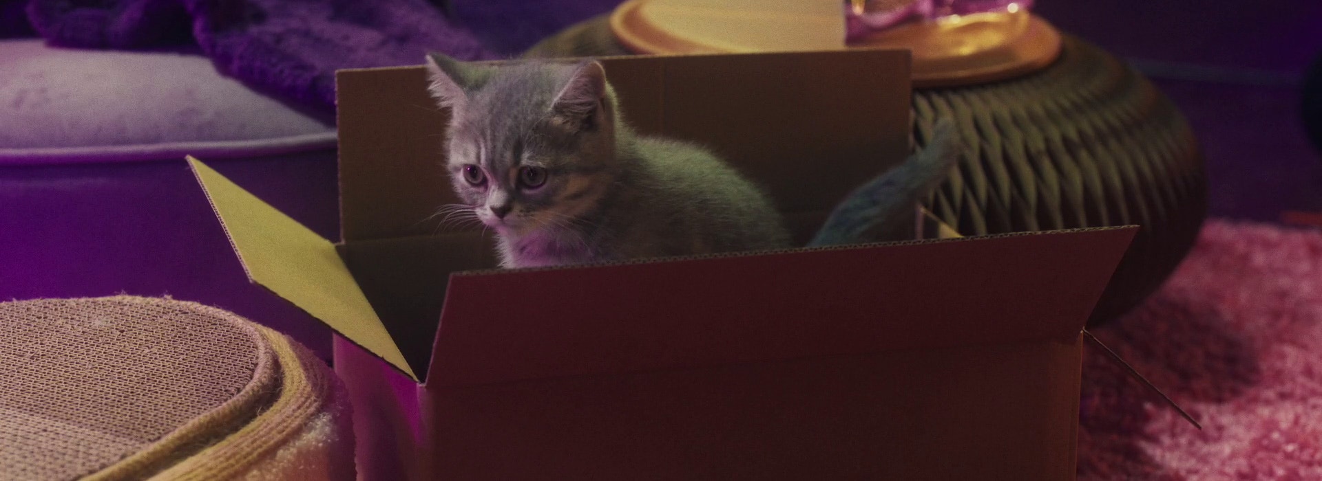 Settling in