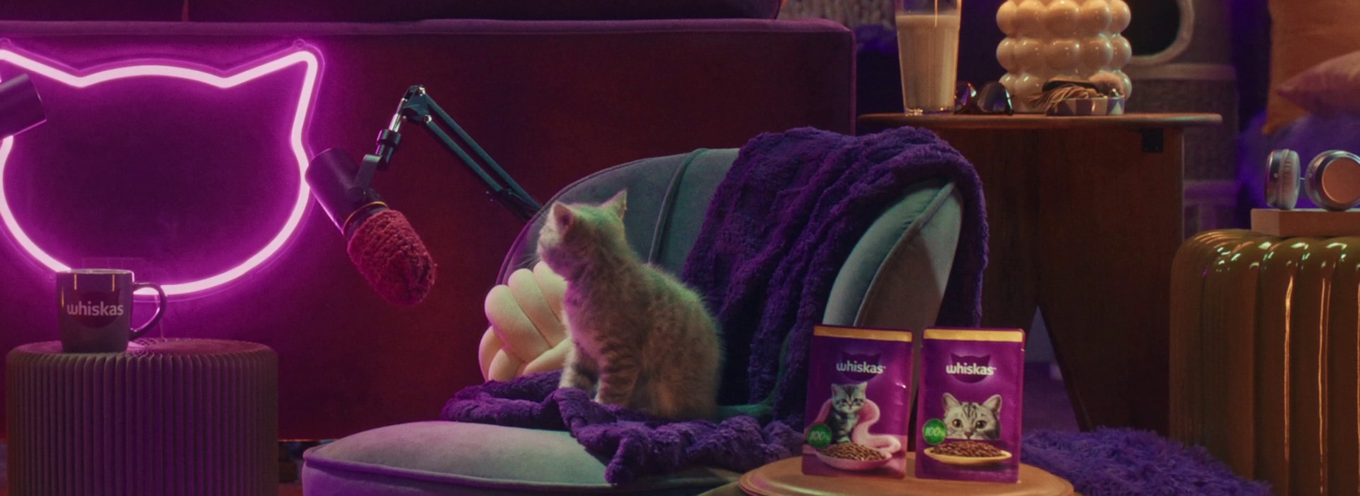What should my kitten be drinking?