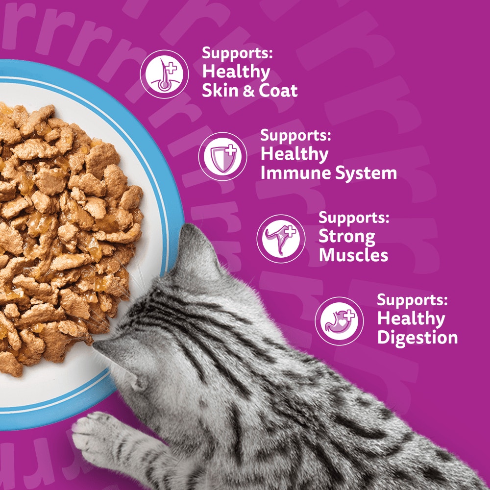 WHISKAS 1+ TUNA Wet Cat Food Pouch in Jelly 85g - 4