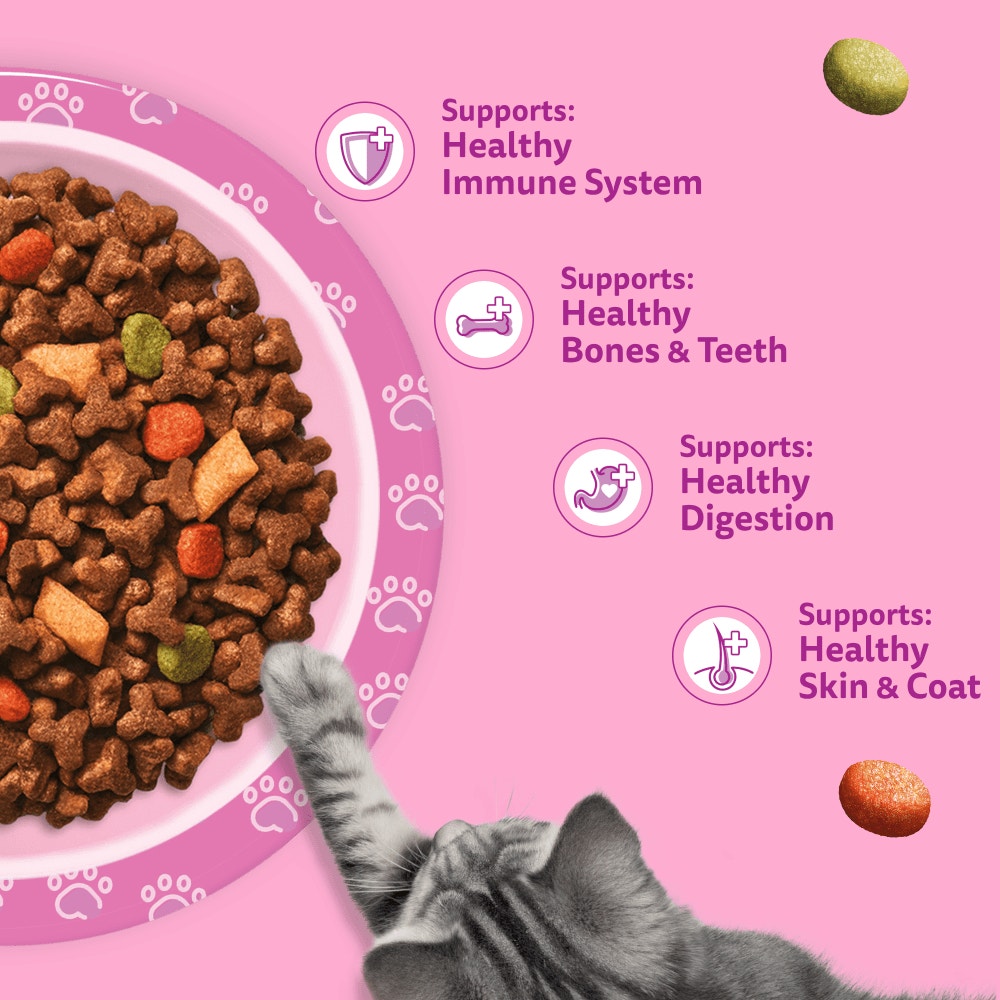 WHISKAS Kitten 2-12 mnths Dry TUNA Cat Food 1.9kg - 4