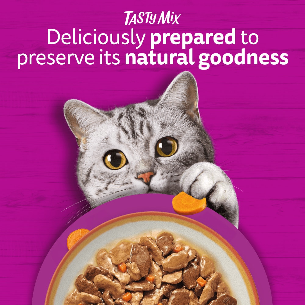 WHISKAS 1+ TASTY MIX Country Collection Wet Cat Food Pouches in Gravy 12 x 85g - 2