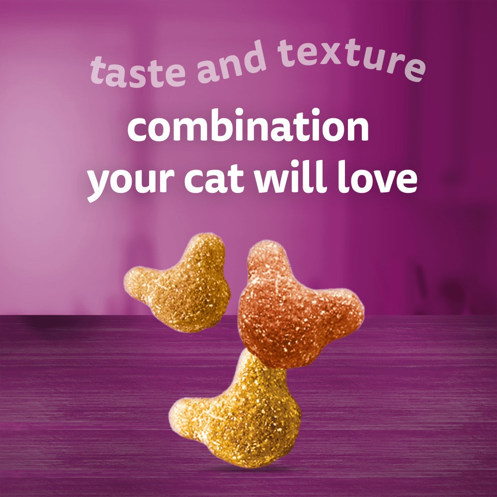 WHISKAS® Crunch Tasty Topping Adult Cat Treat Biscuits 100g - 2