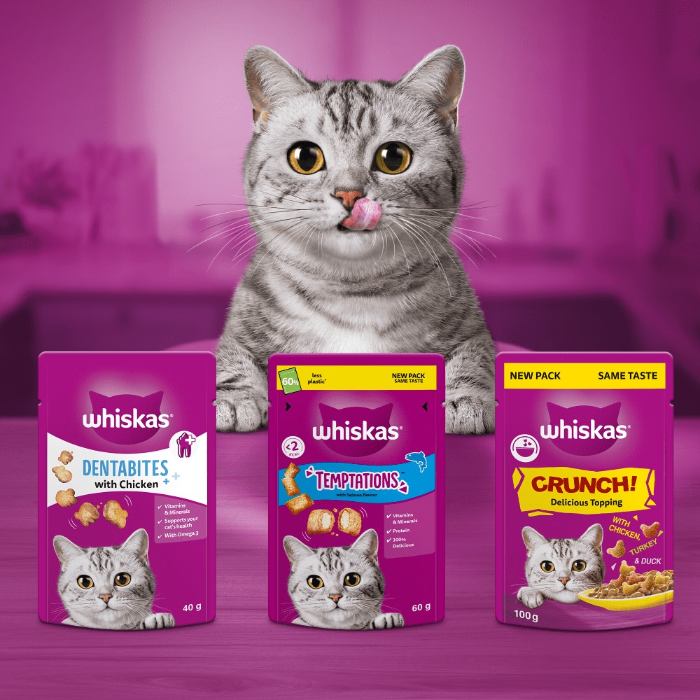 WHISKAS® TEMPTATIONS™ with Chicken & Cheese Adult Cat Treats 180g, 60g - 4
