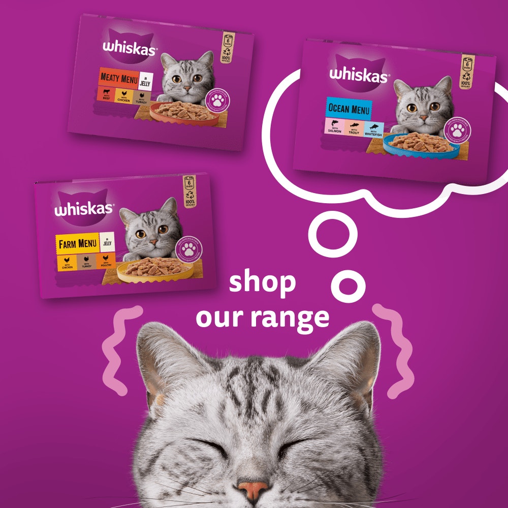 WHISKAS® Ocean Menu Adult Wet Cat Food in Jelly Tin 6x400g - 4