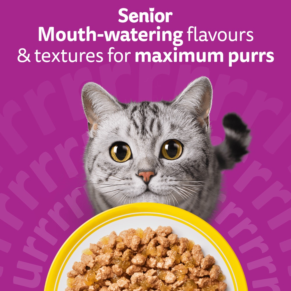 WHISKAS Senior 11+ POULTRY Feasts Wet Cat Food Pouches in Jelly 12 x 85g - 2