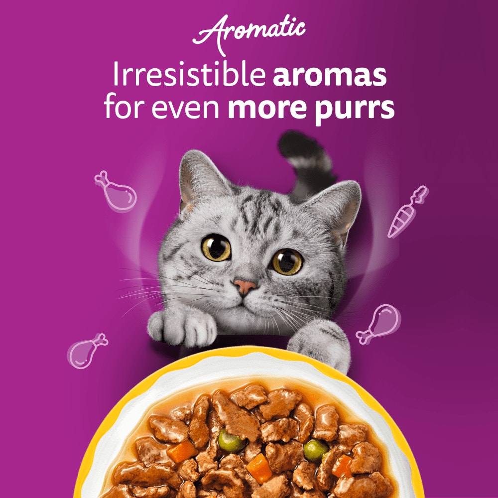 WHISKAS 1+ AROMATIC Purrfect POULTRY Wet Cat Food Pouches in Gravy 12 x 85g - 2
