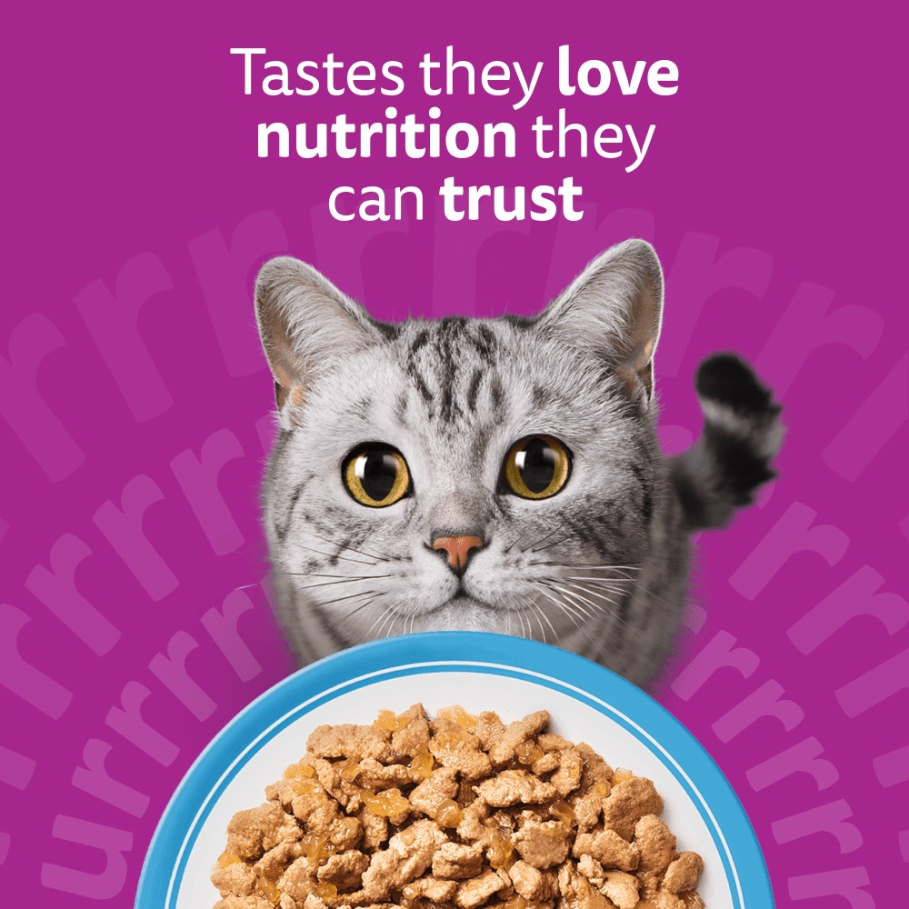 WHISKAS FISH FAVOURITES in Jelly Adult Wet Cat Food Pouch 80x85g, 40x85g, 12x85g - 2