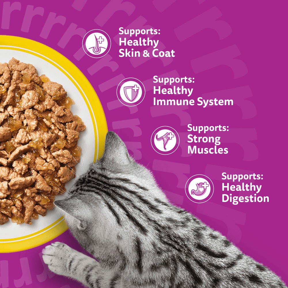 WHISKAS® POULTRY FEASTS in Jelly Adult Wet Cat Food Pouch 84x85g, 80x85g, 40x85g, 12x85g - 4