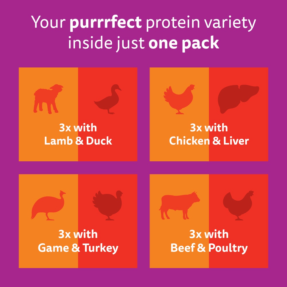 WHISKAS 1+ DUO MEATY Combos Wet Cat Food Pouches in Jelly 12 x 85g - 6