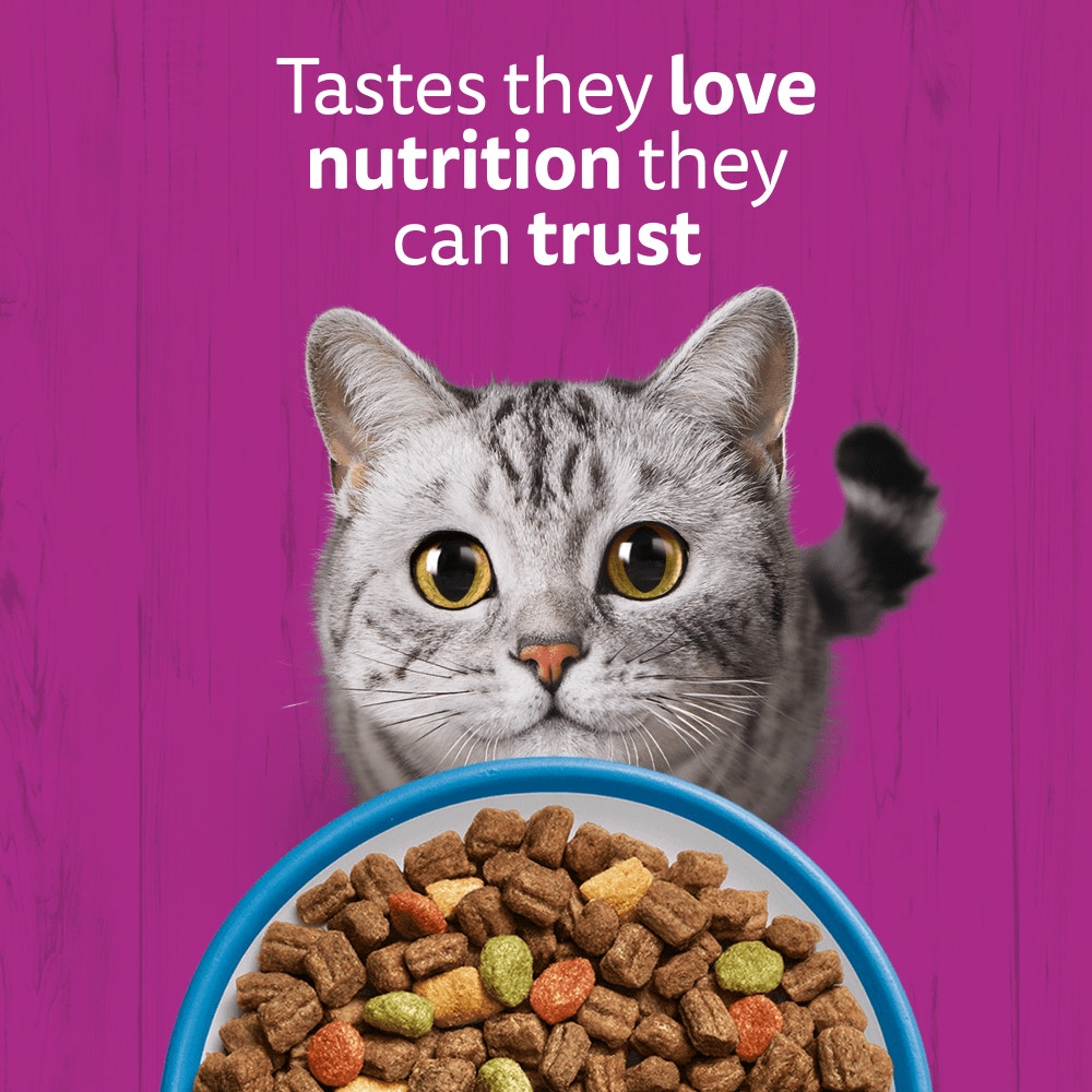 WHISKAS Cat Dry with Tuna Adult 7kg, 1.9kg, 800g, 300g - 2