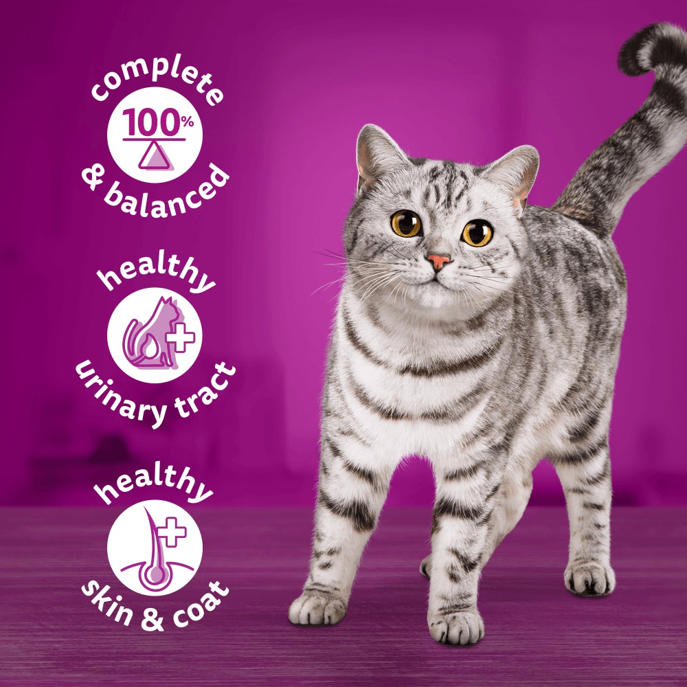 WHISKAS® Meaty Menu Adult Wet Cat Food in Jelly Tin 6x400g - 3