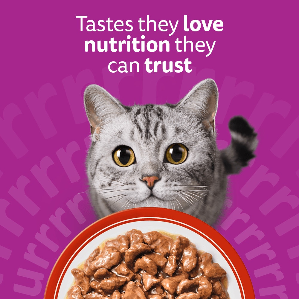 WHISKAS® 1+ Meaty Meals Adult Wet Cat Food Pouches in Gravy 12x85g, 80x85g - 2