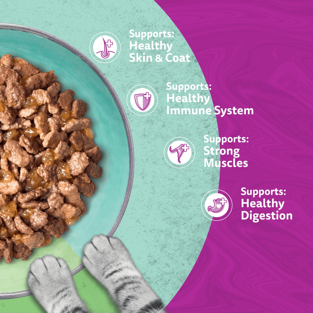 WHISKAS 1+ DUO MIXED Medley Wet Cat Food Pouches in Jelly 12 x 85g - 4