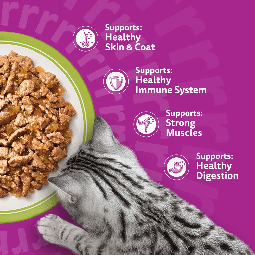 WHISKAS 1+ Mixed Menu Wet Cat Food Pouch in Jelly 40x85g, 12x85g - 4
