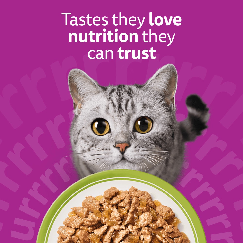 WHISKAS 1+ Mixed Menu Wet Cat Food Pouch in Jelly 40x85g, 12x85g - 2