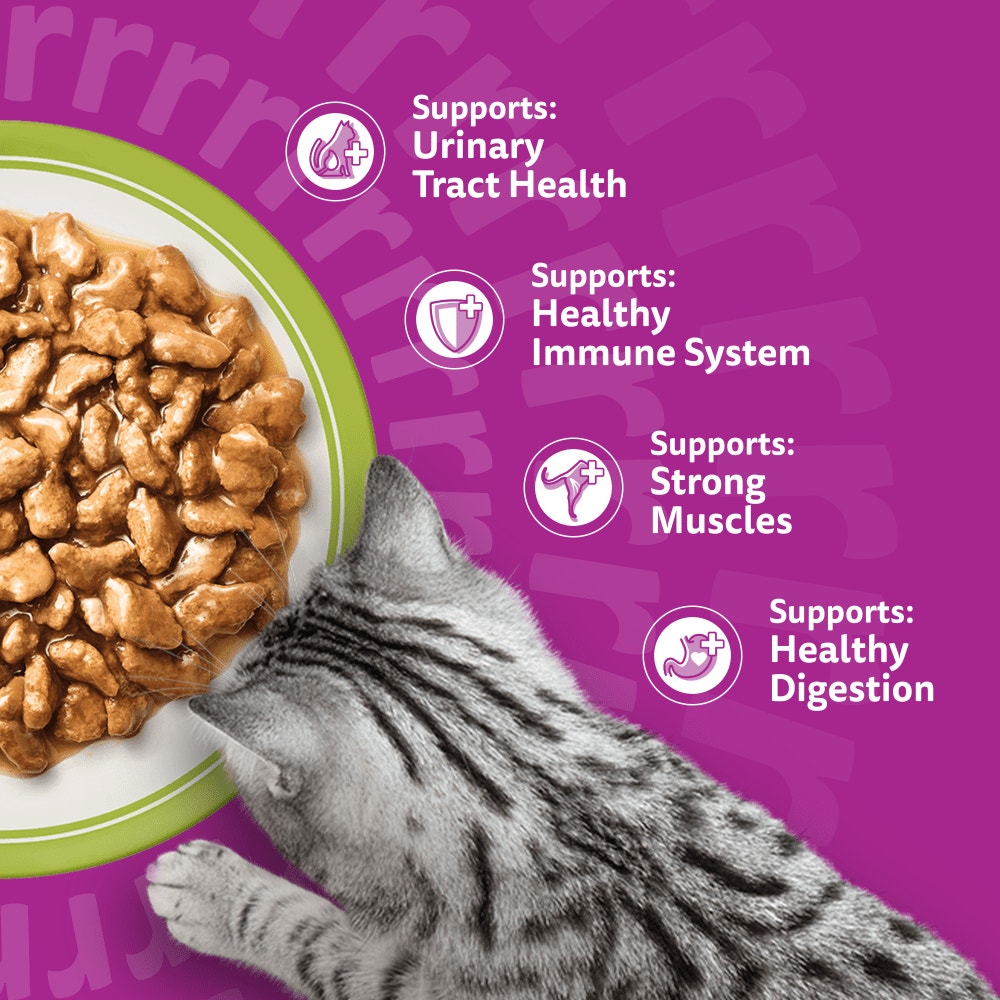 WHISKAS Senior 7+ MIXED Menu  Wet Cat Food Pouches in Gravy 12 x 85g - 4