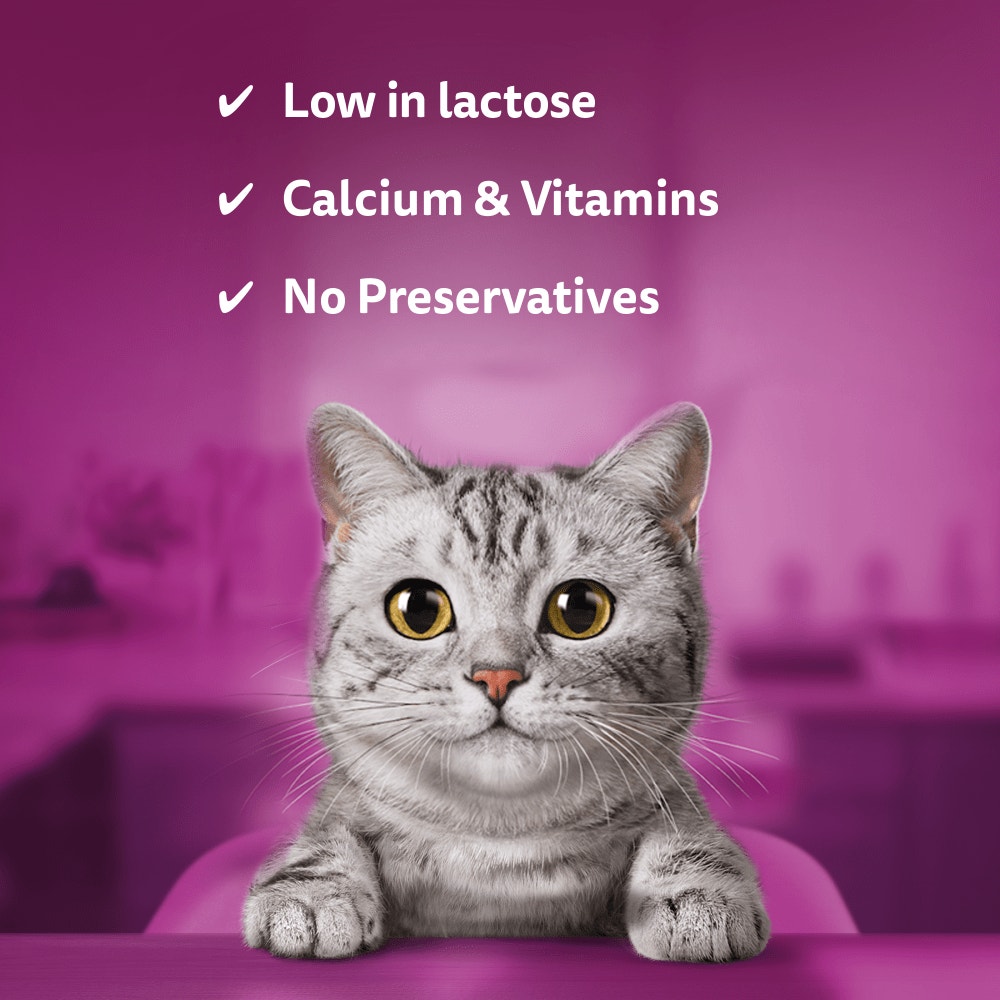 WHISKAS® MILK Cat Treat 3x200ml,200ml - 3