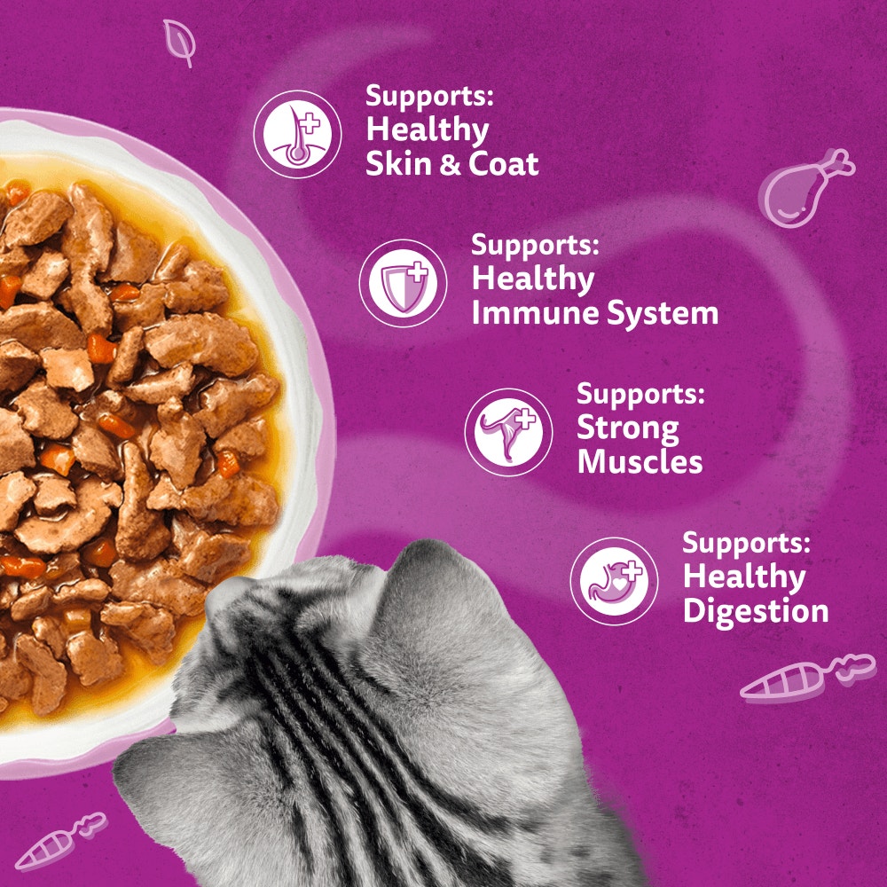 WHISKAS 1+ Aromatic Fragrant Fusions Selection Wet Cat Food Pouches 40x85g, 12x85g - 4