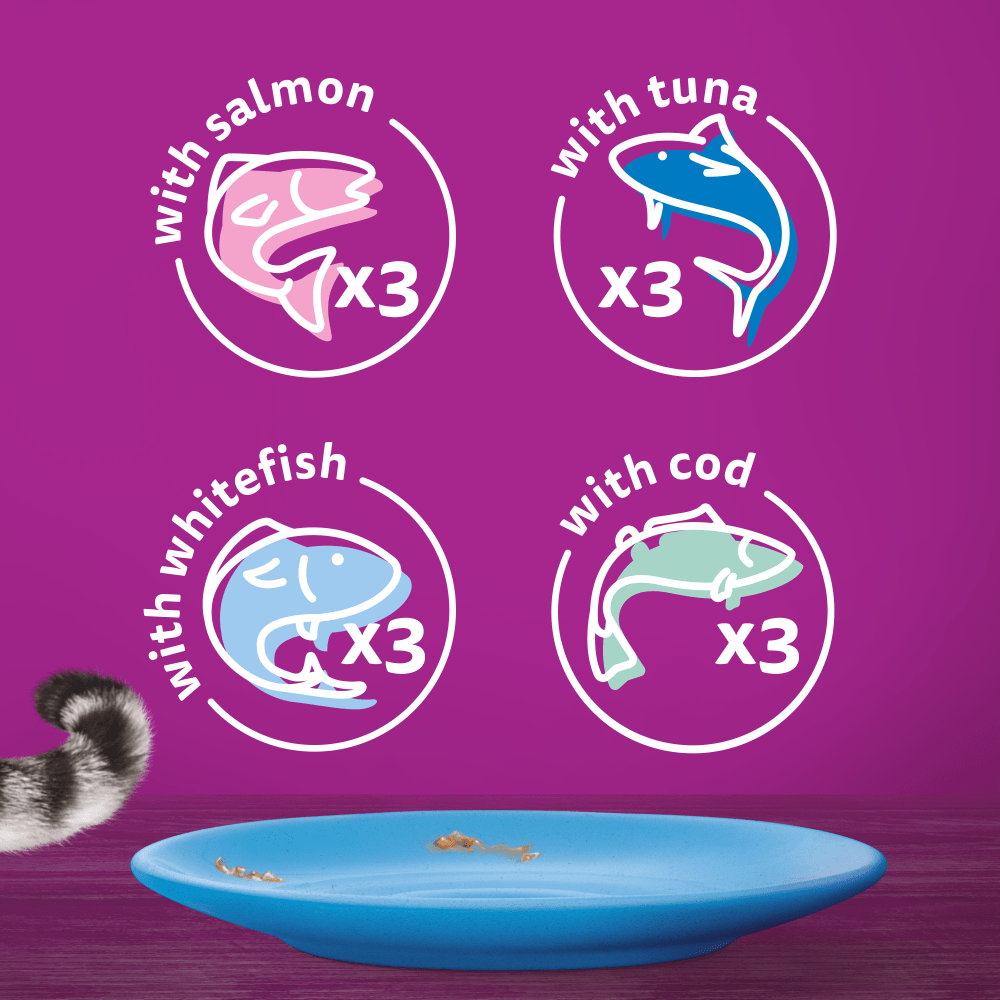 WHISKAS® Fish Favourites in Jelly 1+ Adult Wet Cat Food Pouches 12, 40, 80 x 85g - 6