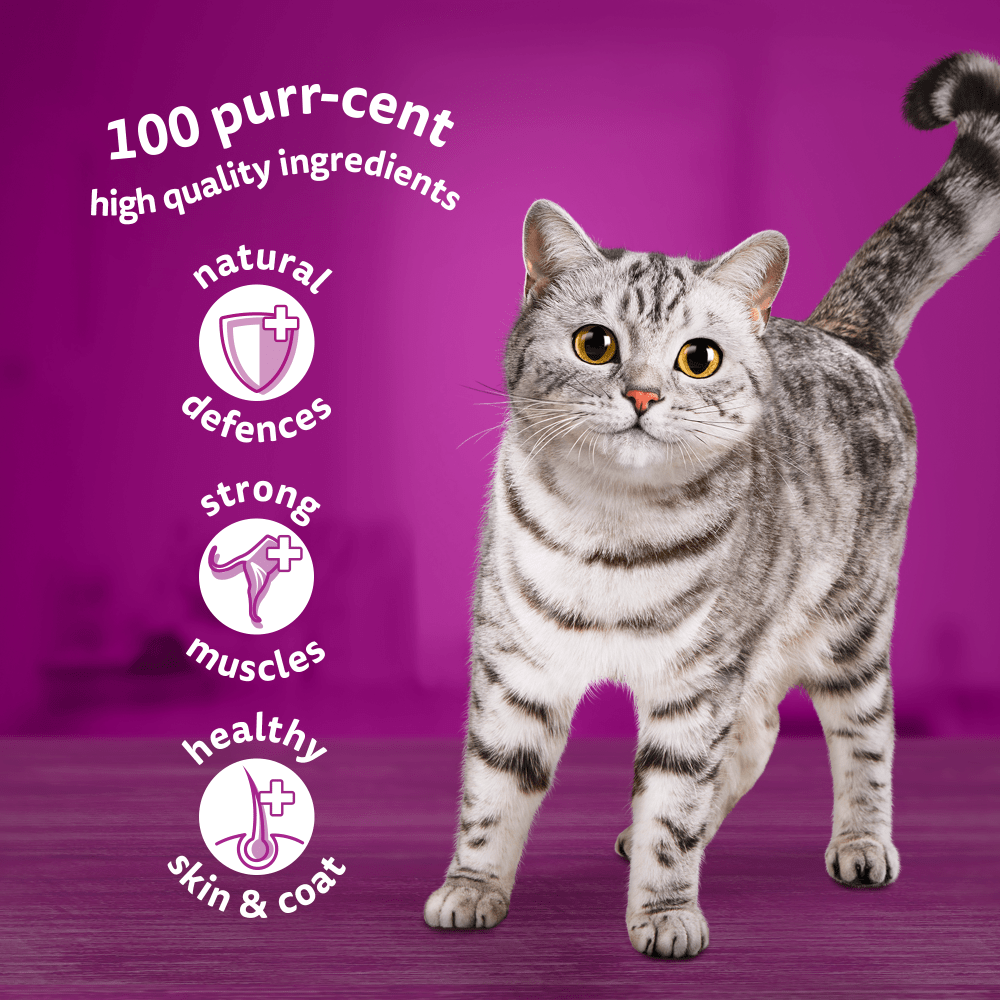 WHISKAS® Poultry Feasts in Jelly 1+ Adult Wet Cat Food Pouches 12, 40, 80 x 85g - 3