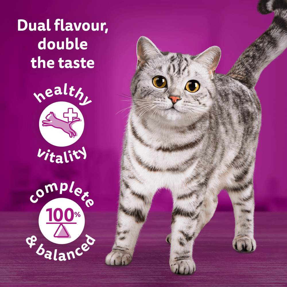 WHISKAS® DUO Meaty Combos in Jelly 1+ Adult Wet Cat Food Pouches 12 x 85g - 3