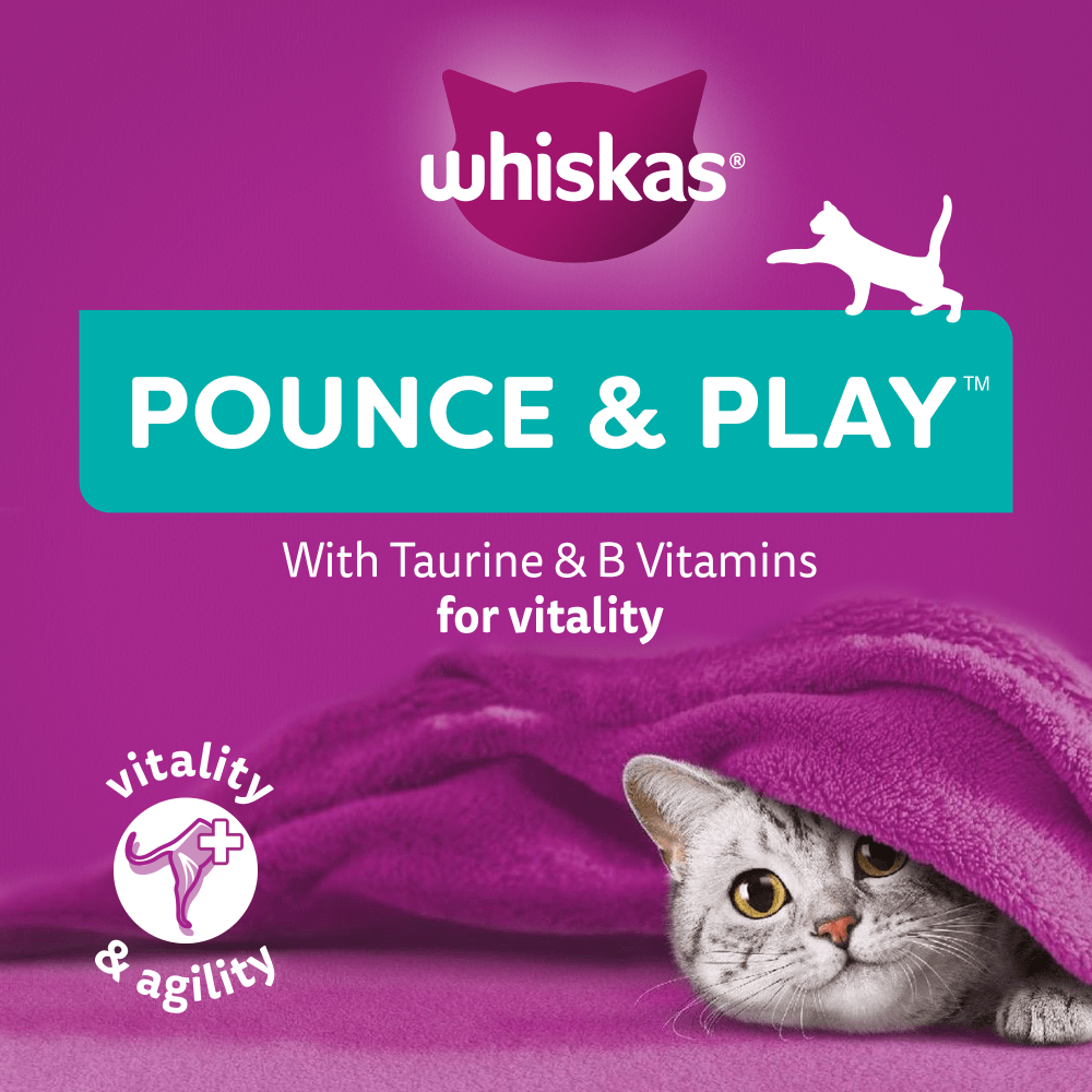 WHISKAS® Pounce & Play Adult Cat Treats with Chicken 45g - 3