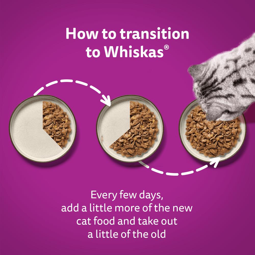 WHISKAS® Classic Meals in Gravy 1+ Adult Wet Cat Food Pouches 80 x 85g - 5