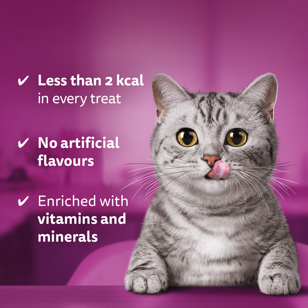 WHISKAS® TEMPTATIONS™ with Beef Adult Cat Treats 60g - 3