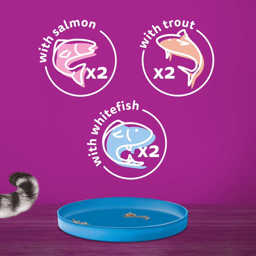 WHISKAS® Ocean Menu in Jelly 1+ Adult Wet Cat Food Tin 6 x 400g - 6
