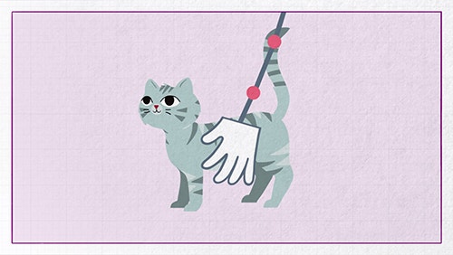 How can I tell if my cat is overweight?