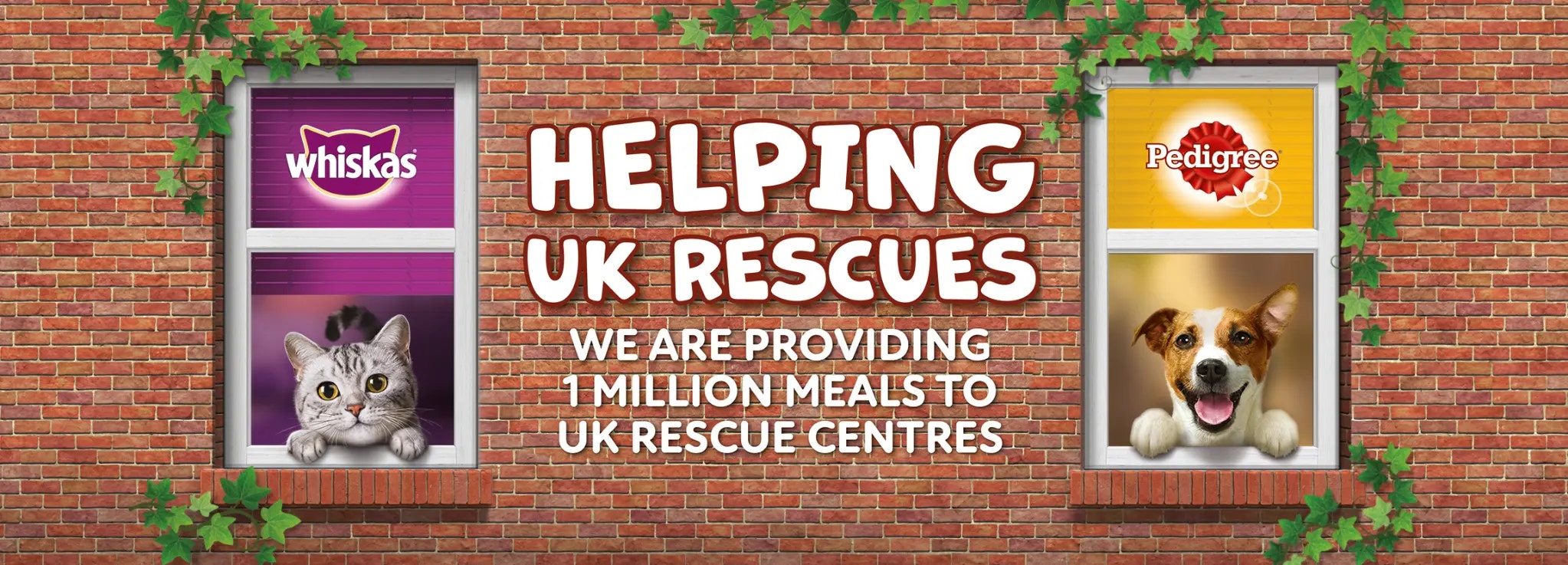 Adoption Mission Hero Banner