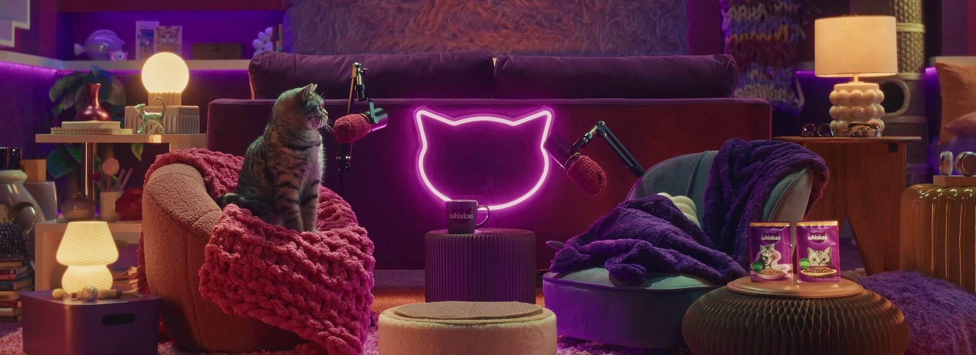 Introducing a new cat