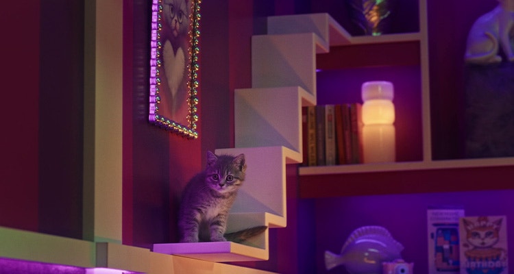 Getting the most out of playtime