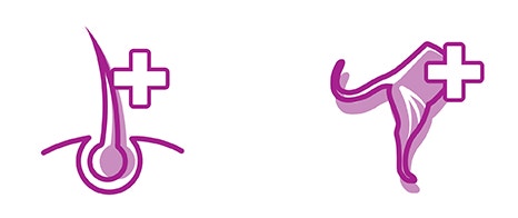 our purrfect promise