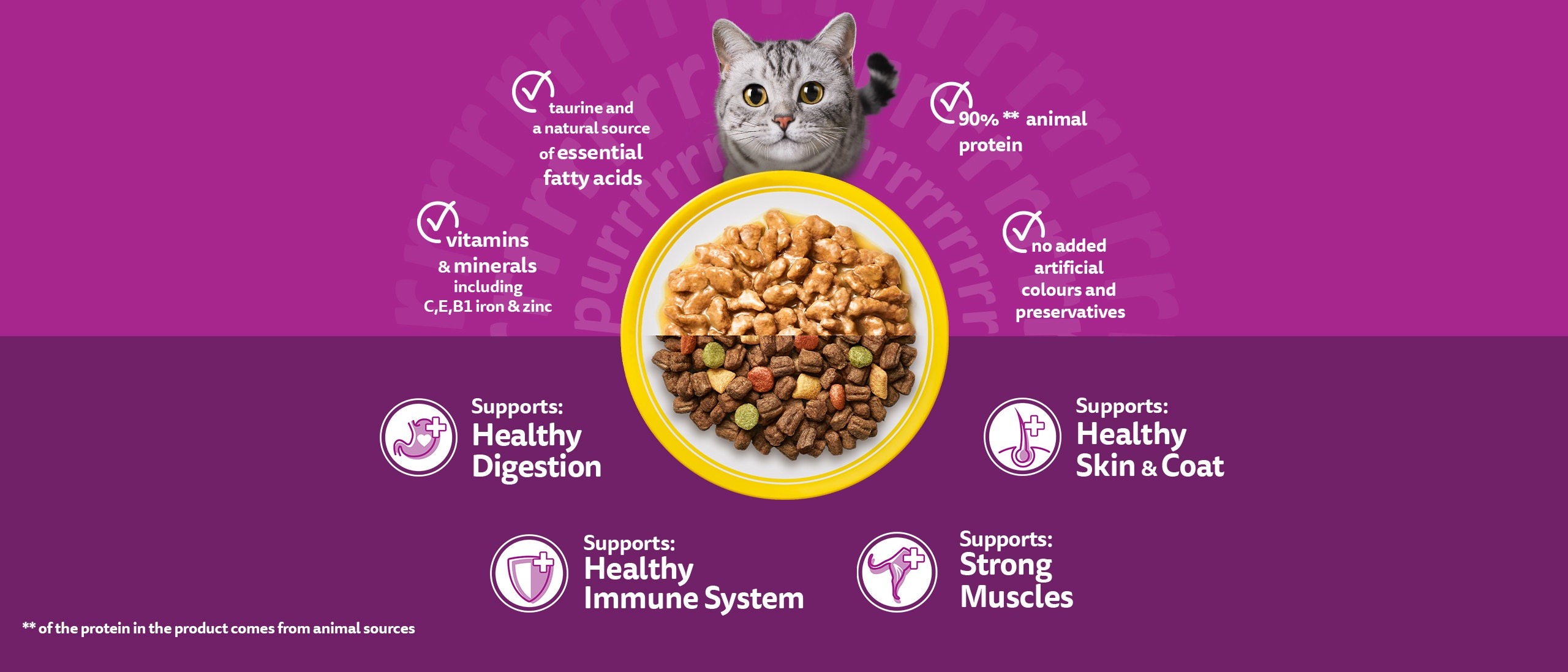 Adult supurrnova vitamins