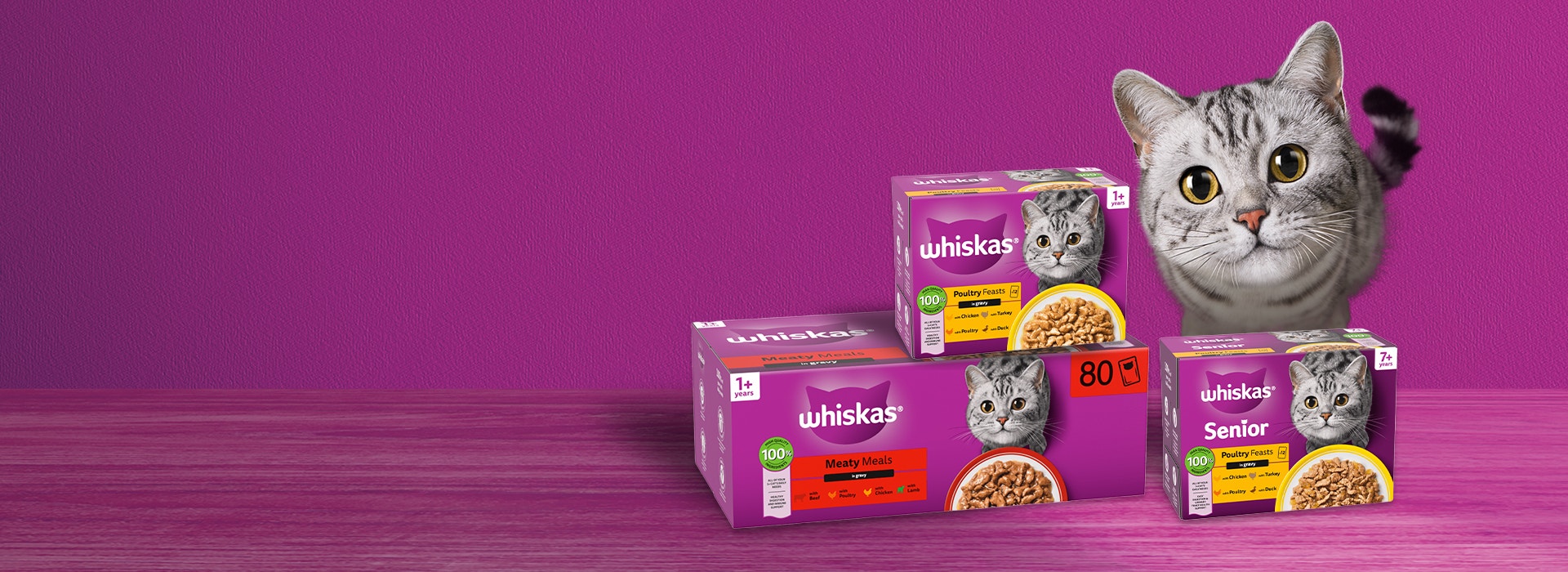 Wet Cat Food in Gravy