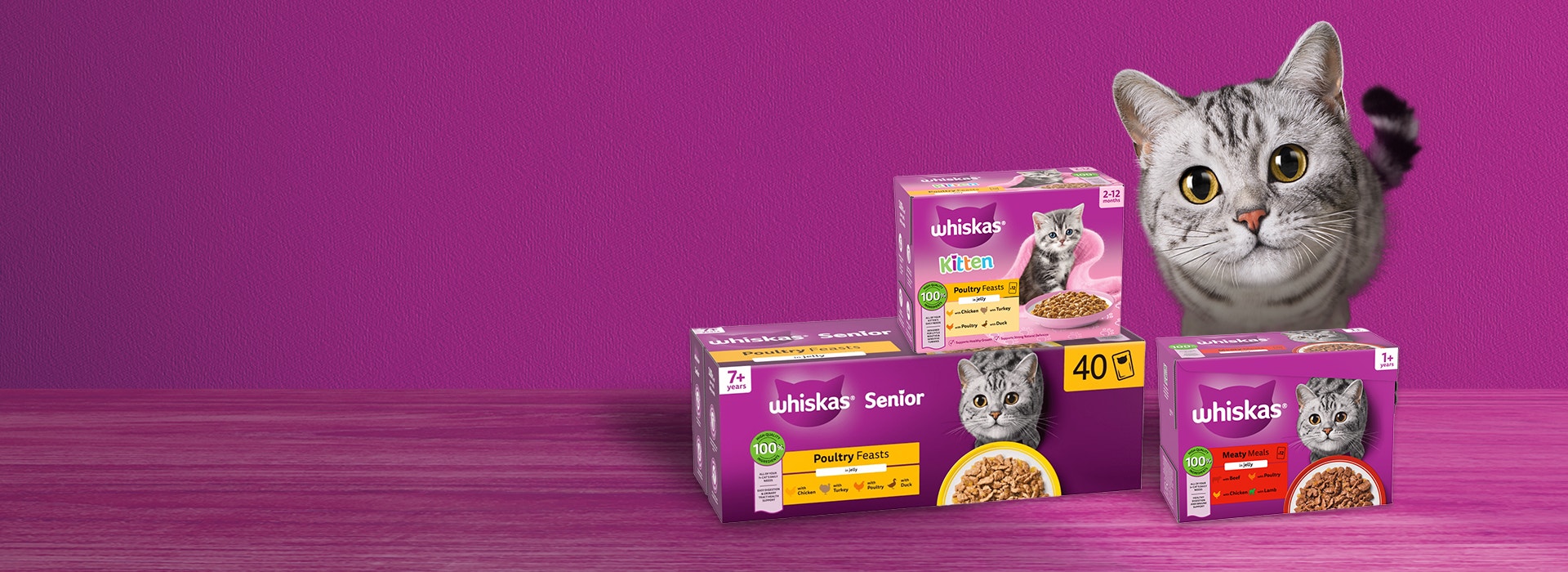 Wet Cat Food Hero Image