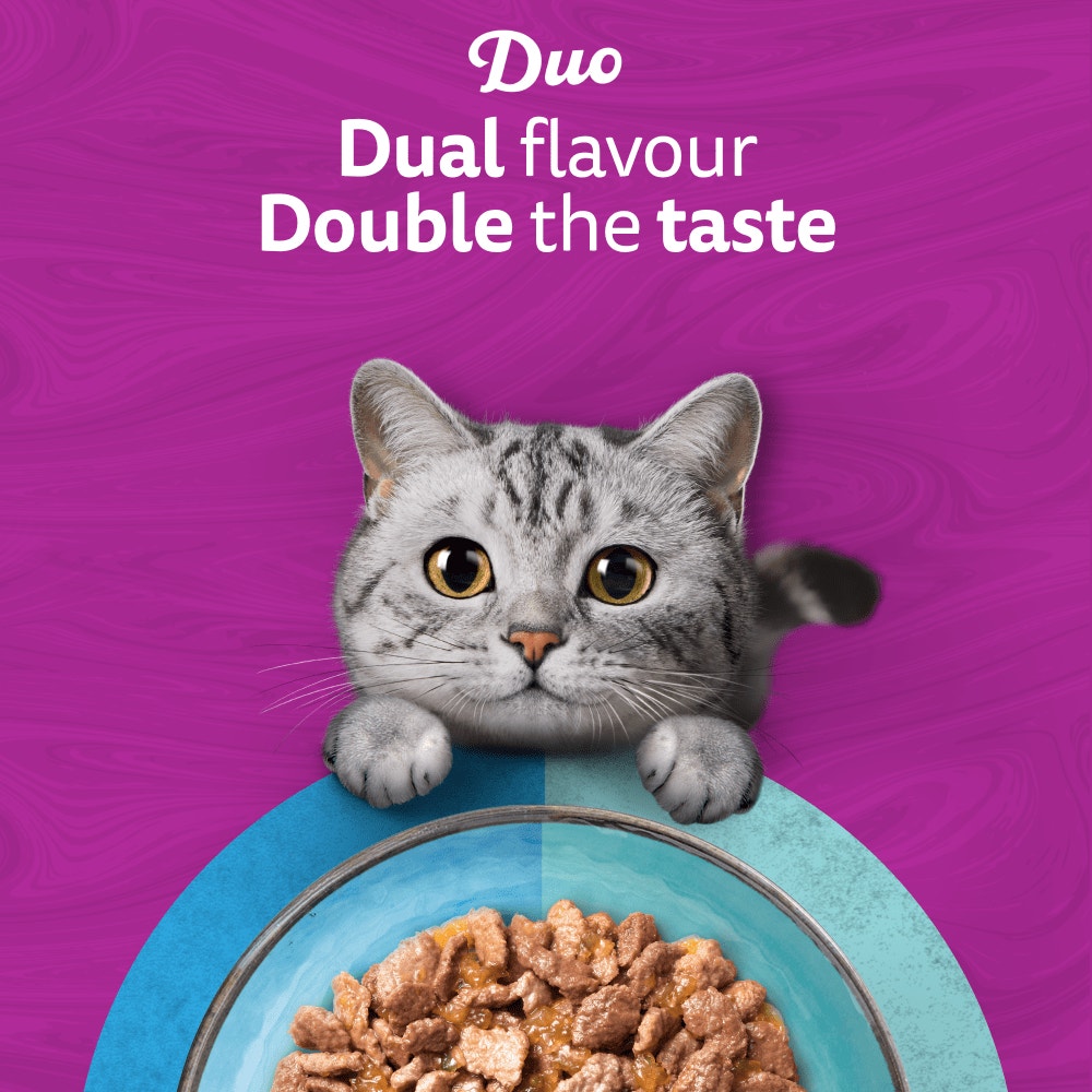 WHISKAS 1+ DUO OCEAN Delight Wet Cat Food Pouches in Jelly 12 x 85g - 2
