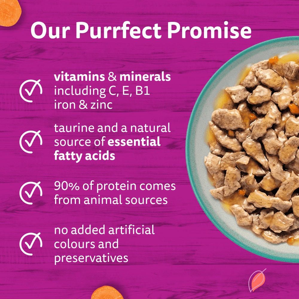 WHISKAS 1+ TASTY MIX Catch Of The Day Wet Cat Food Pouches in Gravy 12 x 85g - 3