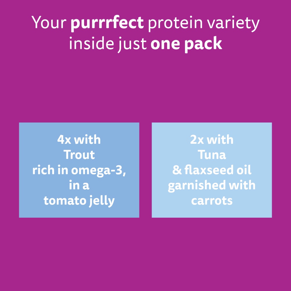 WHISKAS 1+ SUPERFOODS FISH Wet Cat Food Pouches in Jelly 6 x 50g - 6