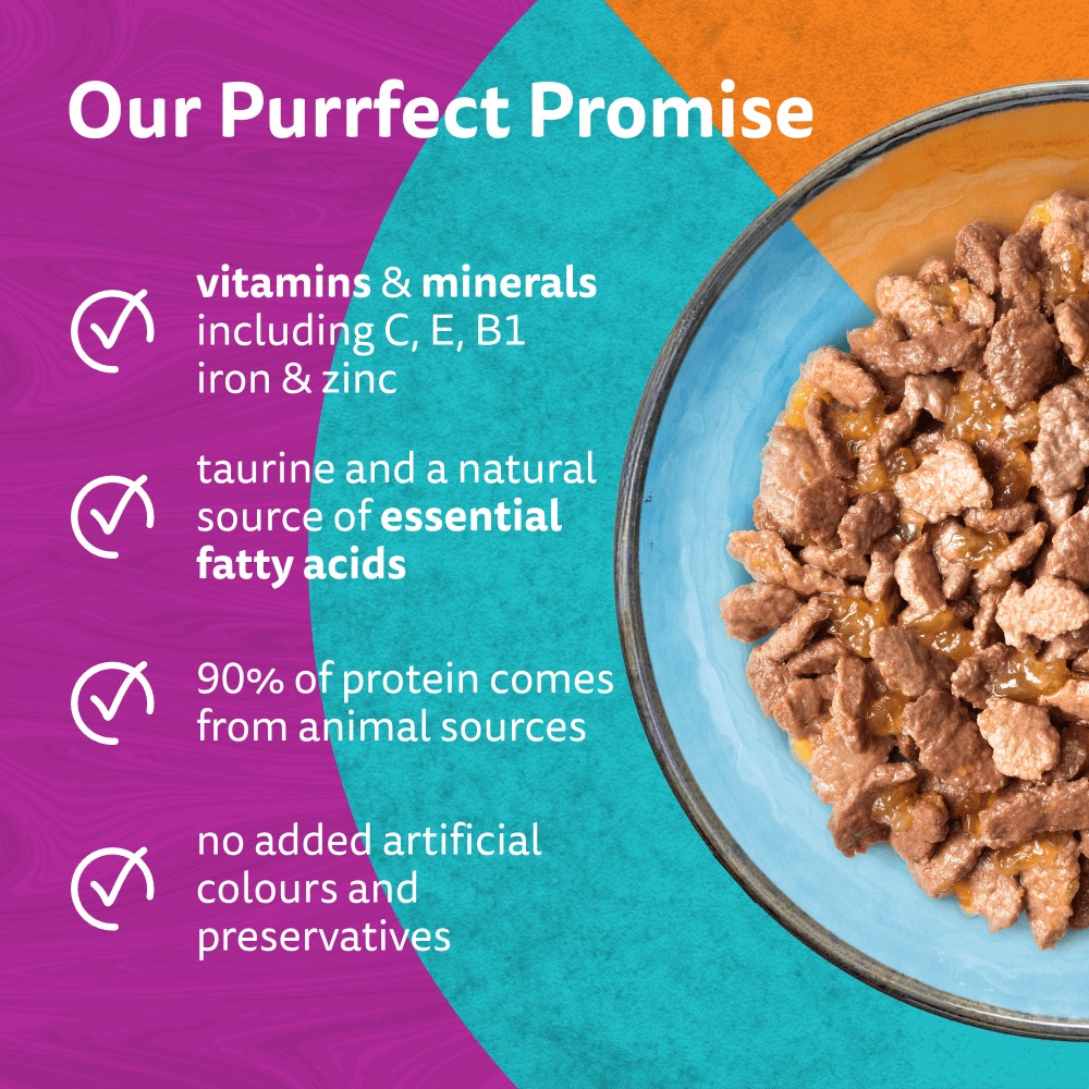 WHISKAS Duo Surf & Turf in Jelly Adult Wet Cat Food Pouch 80x85g, 40x85g, 12x85g - 3