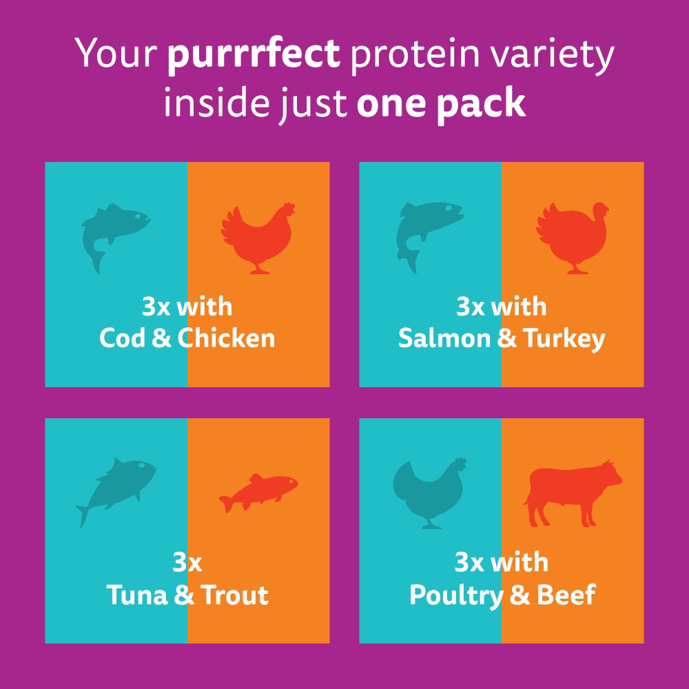 WHISKAS Duo Surf & Turf in Jelly Adult Wet Cat Food Pouch 80x85g, 40x85g, 12x85g - 6