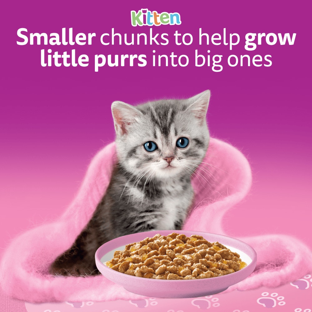 WHISKAS Kitten 2-12 mnths FISH Favourites Wet Cat Food Pouches in Jelly 12 x 85g - 2