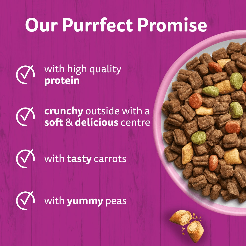 WHISKAS Cat Dry with Salmon Adult 1.9kg, 800g - 3