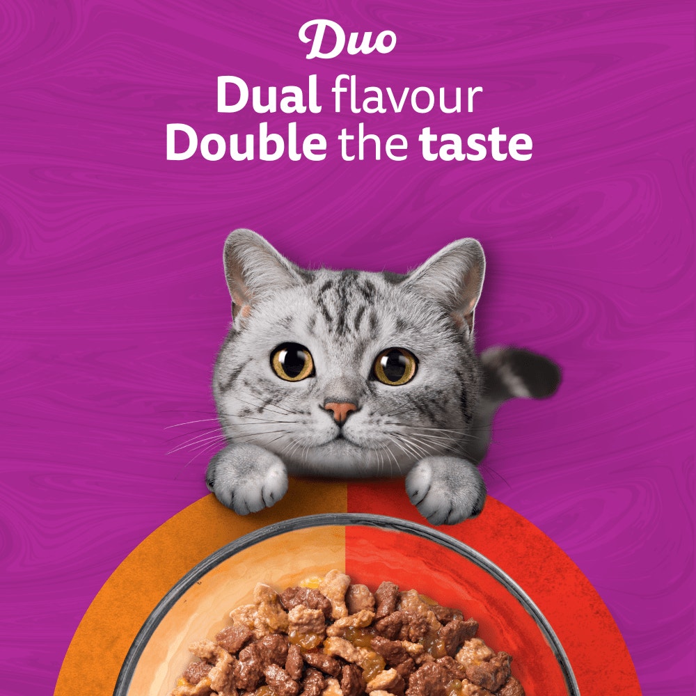 WHISKAS 1+ DUO MEATY Combos Wet Cat Food Pouches in Jelly 12 x 85g - 2