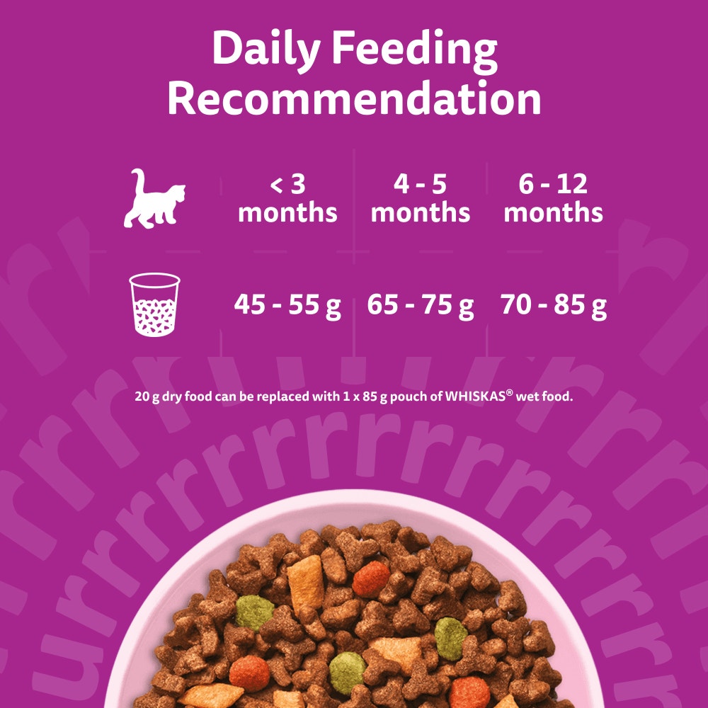 WHISKAS Cat Dry with Chicken Kitten 2-12 Months 7kg, 1.9kg, 800g, 300g - 5
