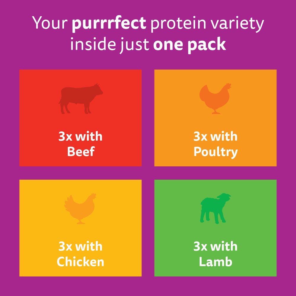 WHISKAS® 1+ Meaty Meals Adult Wet Cat Food Pouches in Gravy 12x85g, 80x85g - 6